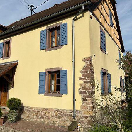 Gite La Maison De Jules Muntzenheim エクステリア 写真