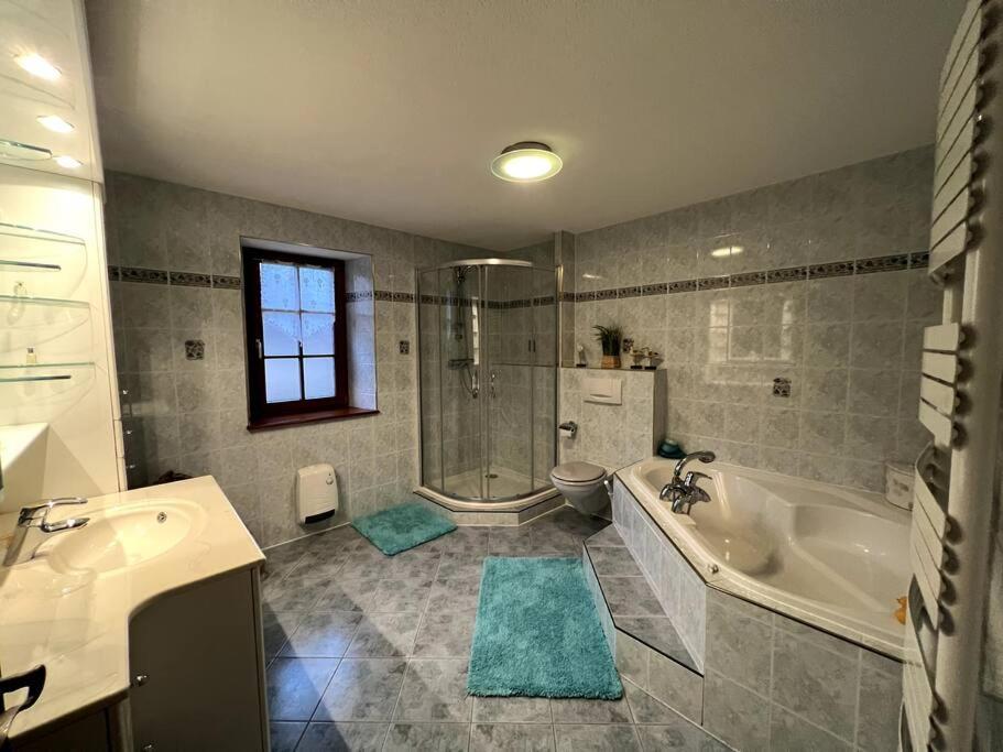 Gite La Maison De Jules Muntzenheim エクステリア 写真