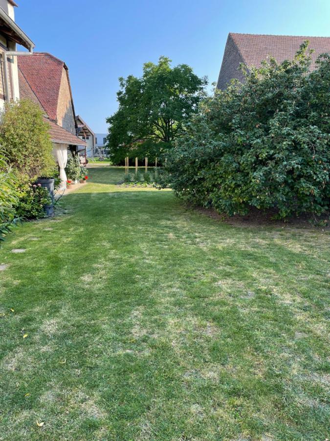 Gite La Maison De Jules Muntzenheim エクステリア 写真