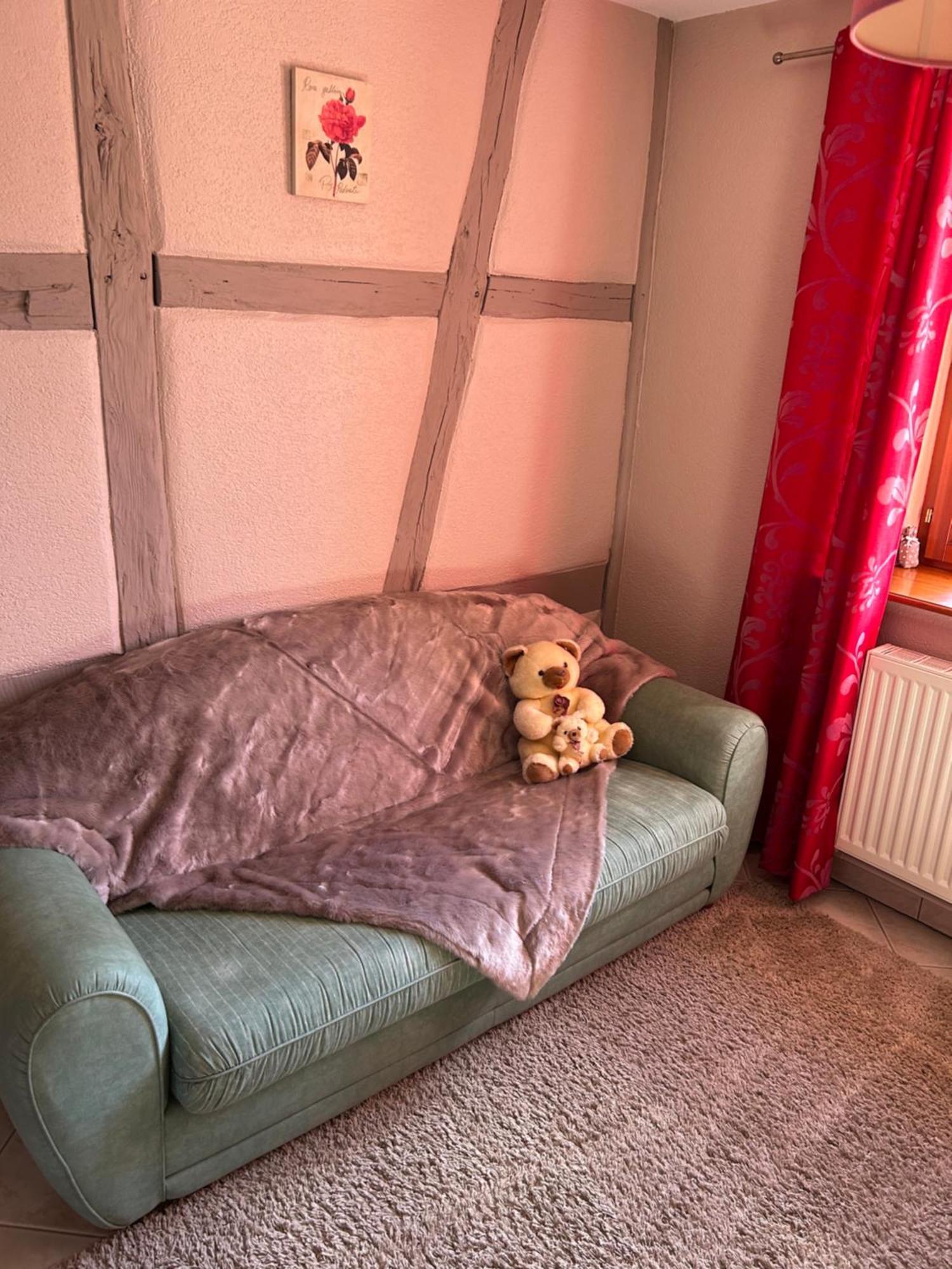 Gite La Maison De Jules Muntzenheim エクステリア 写真